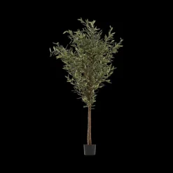Artif. Plant OLIVIER