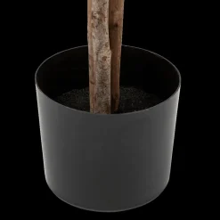 Artif. Plant OLIVIER