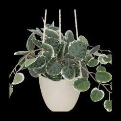 Artificiële Hangplant Lour Groen