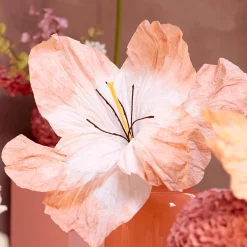 Bloem LOOK Papier Peach