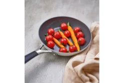 Braadpan CERAPRO Ø20 Clay