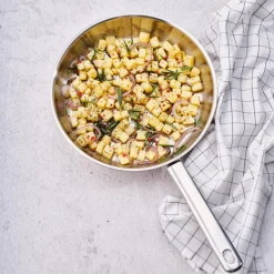 Braadpan DAILY Ø24 RVS