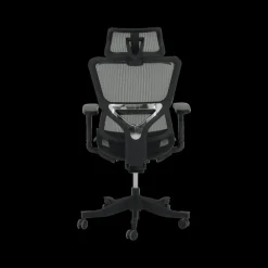 Bureaustoel BJORN Verstelbaar Mesh Zwart