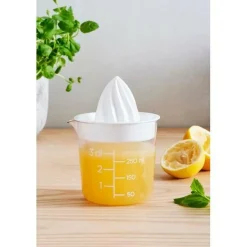 Citrspers GASTRO 0,3l Transparant