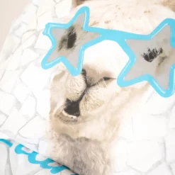 Dekbedovertrek NO DRAMA LLAMA 140x220