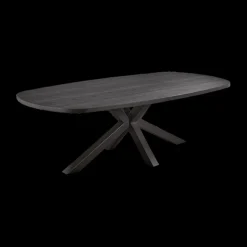 Eettafel ARTEGO Ovaal Sterpoot 200x100 Zwart