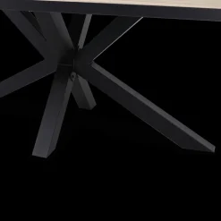 Eettafel ARTEGO Ovaal 200x100 Sterpoot French Oak