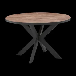 Eettafel DELPHINE Ø120 Sterpoot Zwart