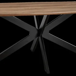 Eettafel ENSOR Deens Ovaal 200x100 Mango