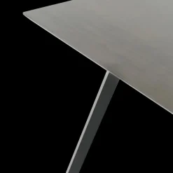 Eettafel PALMERA 200x100