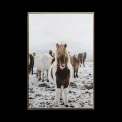 Framed Canvas TORBJORN Paard