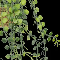 Hangplant PATRI in Mand Ass.