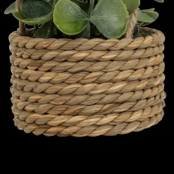 Hangplant PATRI in Mand Ass.