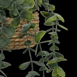 Hangplant PATRI in Mand Ass.