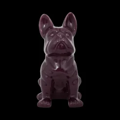 Hond QOZMO Ker. Violet