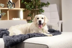 Hondendeken Sofa BOMMEL L L.Grijs