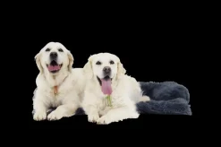 Hondendeken Sofa BOMMEL L L.Grijs