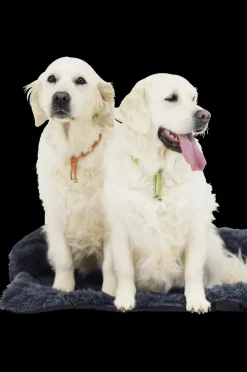 Hondendeken Sofa BOMMEL M L.Grijs