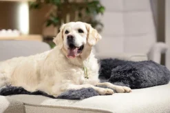 Hondendeken Sofa BOMMEL S L.Grijs