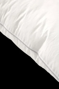 Hoofdkussen LUNIA 60x70