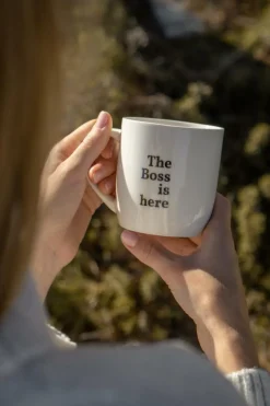 Mok The Boss Is Here