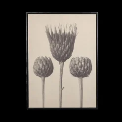 Muurdeco FLOWER 58x78