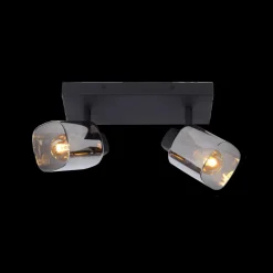 Plafondspot ALION Zwart