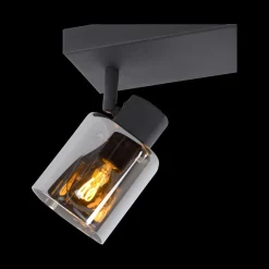 Plafondspot ALION Zwart