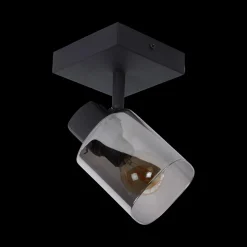 Plafondspot ALION Zwart