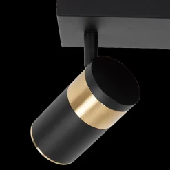 Plafondspot GORIK 2Del. Zwart/Goud