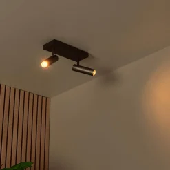 Plafondspot GRADO 2Del. Grijs