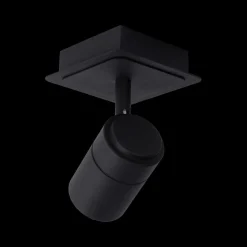 Plafondspot LENNERT 1Del. Zwart