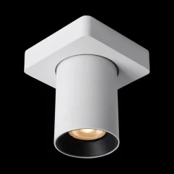 Plafondspot NIGEL Wit