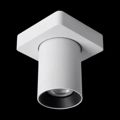 Plafondspot NIGEL Wit