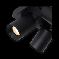 Plafondspot NIGEL Zwart