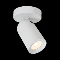 Plafondspot PUNCH 1Del. Wit