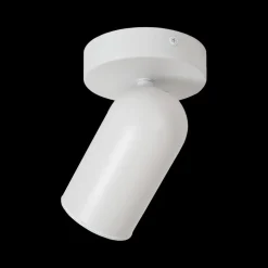 Plafondspot PUNCH 1Del. Wit