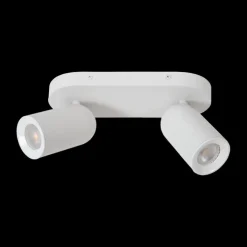 Plafondspot PUNCH 2Del. Wit