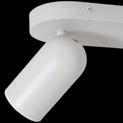 Plafondspot PUNCH 2Del. Wit