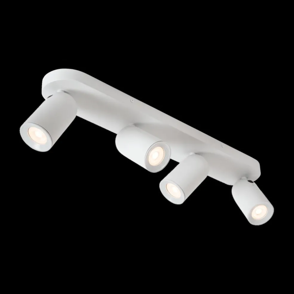 Plafondspot PUNCH 4Del. Wit