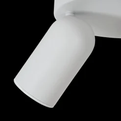 Plafondspot PUNCH 3Del. Wit