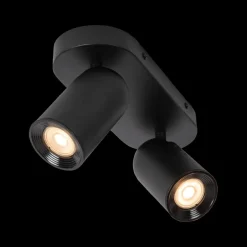 Plafondspot PUNCH 2Del. Zwart