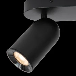 Plafondspot PUNCH 2Del. Zwart