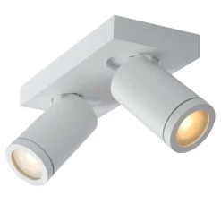 Plafondspot TAYLOR 2Del. Wit