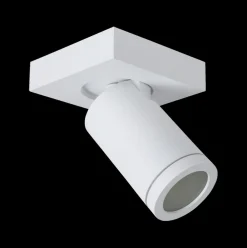 Plafondspot TAYLOR 1Del. Wit