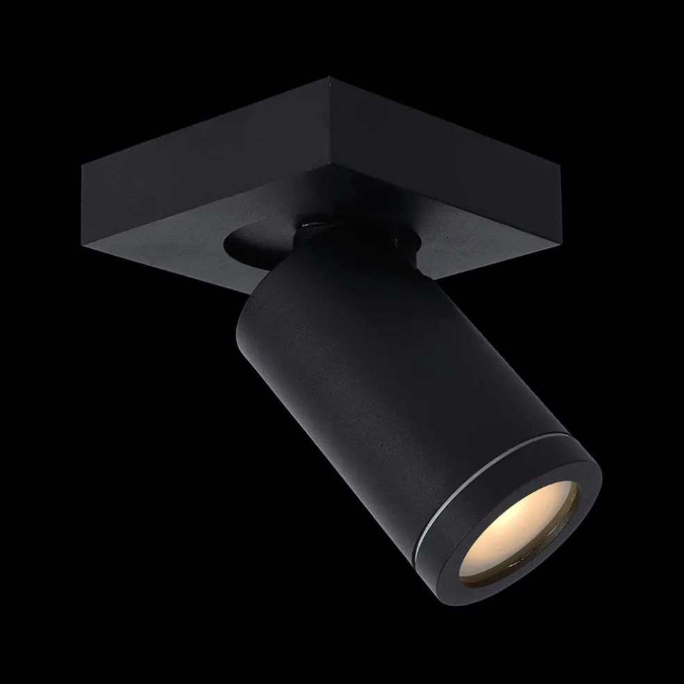 Plafondspot TAYLOR 1Del. Zwart