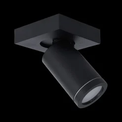 Plafondspot TAYLOR 1Del. Zwart