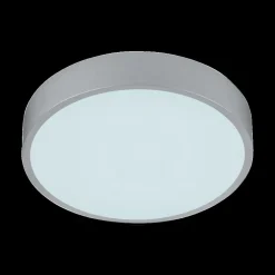 Plafonier WACO Ø30 Met. Titaan