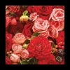 S/20 Serviet BOUQUET Rood