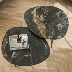 Salontafel Set van 2 ANETA Organisch